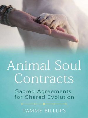 Animal Soul Contracts - ebook